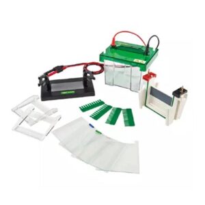 Vertical Electrophoresis