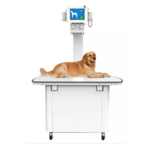 D32DR 400mA Digital X-ray System for Veterinary